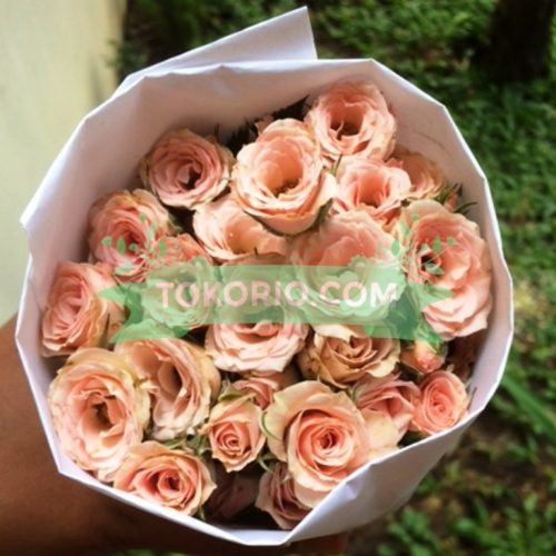 Bunga Potong, Baby Rose, Mawar Mini